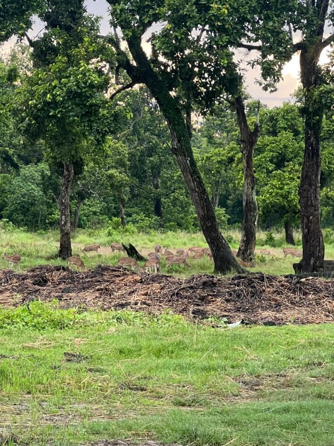 Chitwan Park Village Саураха Экстерьер фото