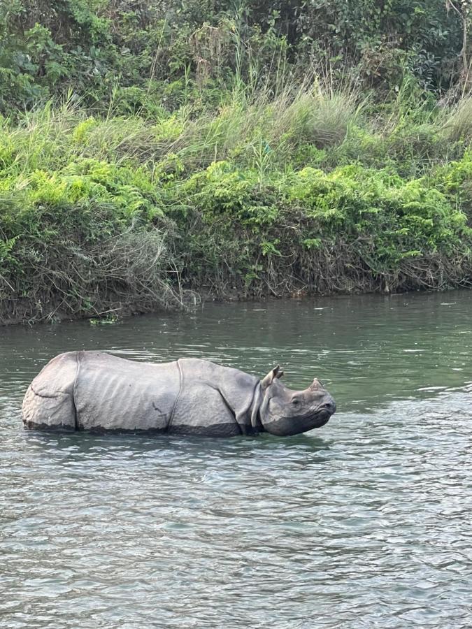 Hotel Chitwan Park Village Саураха Экстерьер фото