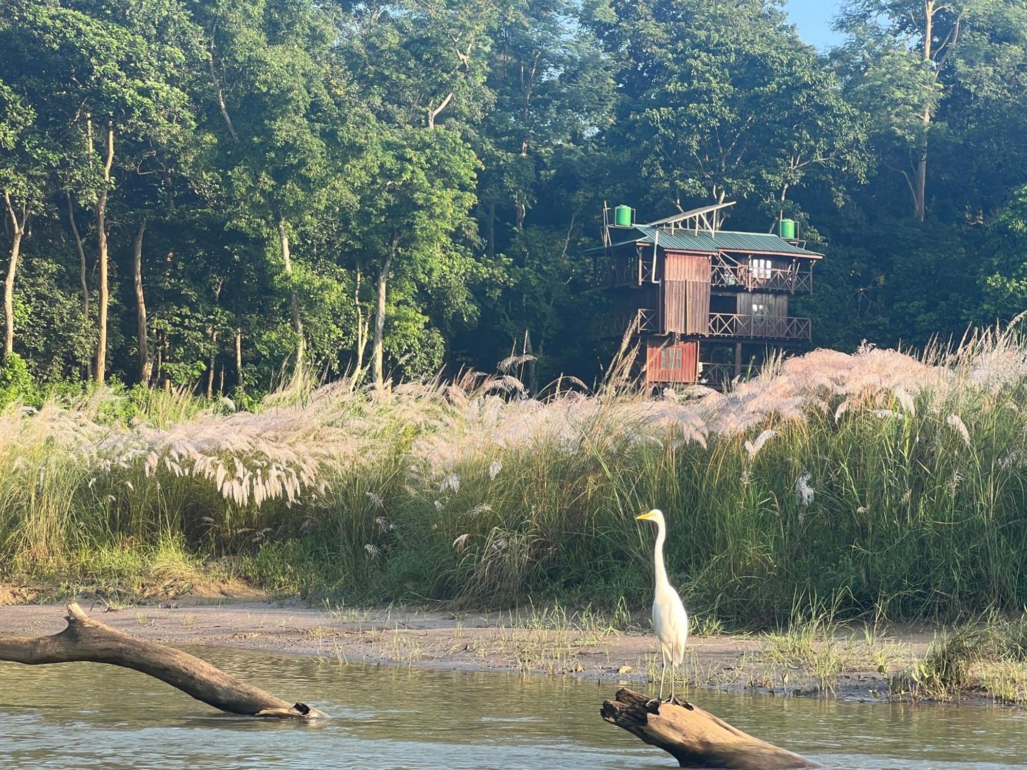 Hotel Chitwan Park Village Саураха Экстерьер фото